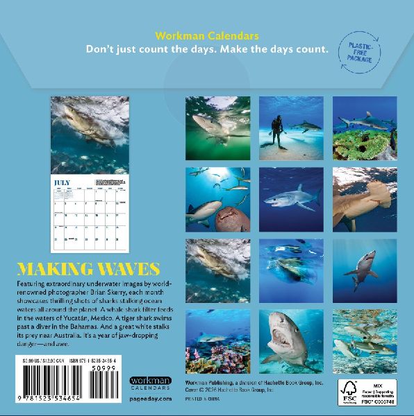 Shark Mini Wall Calendar 2027