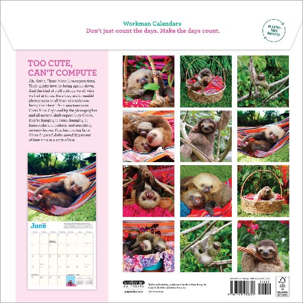 Original Sloths Wall Calendar 2027