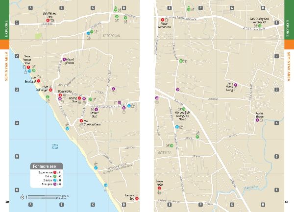 Lonely Planet Pocket Bali