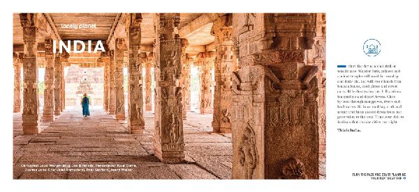 Lonely Planet Experience India
