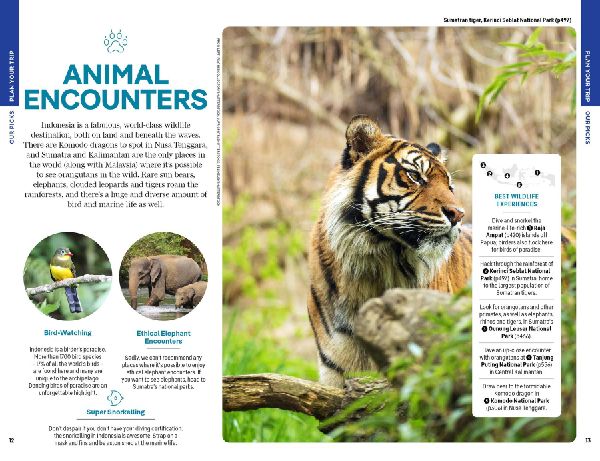 Lonely Planet Indonesia