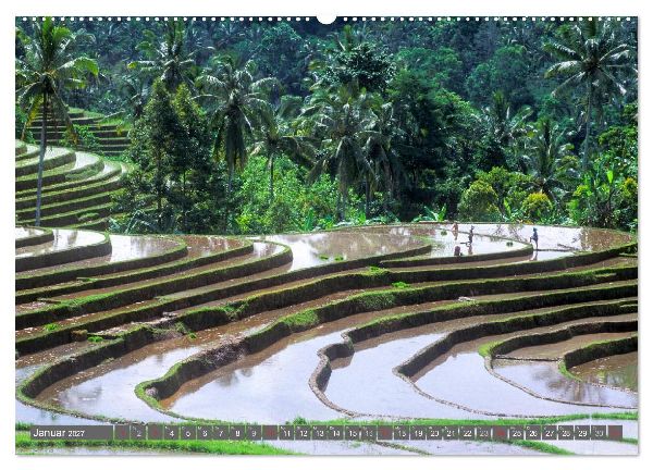 Peter Fischer - Bali 2027 (hochwertiger Premium Wandkalender 2027 DIN A2 quer), Kunstdruck in Hochglanz