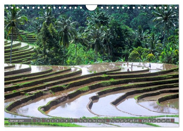 Peter Fischer - Bali 2027 (Wandkalender 2027 DIN A4 quer), CALVENDO Monatskalender