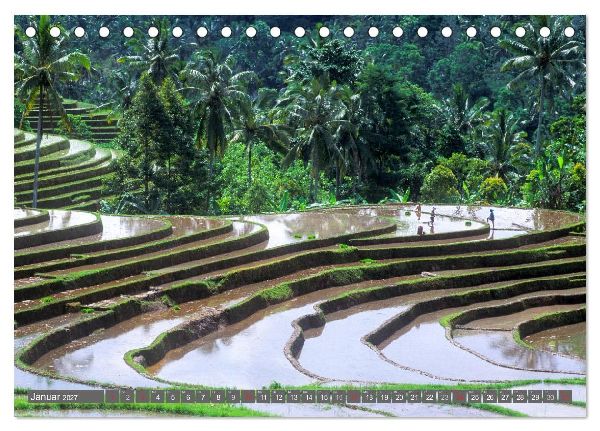 Peter Fischer - Bali 2027 (Tischkalender 2027 DIN A5 quer), CALVENDO Monatskalender