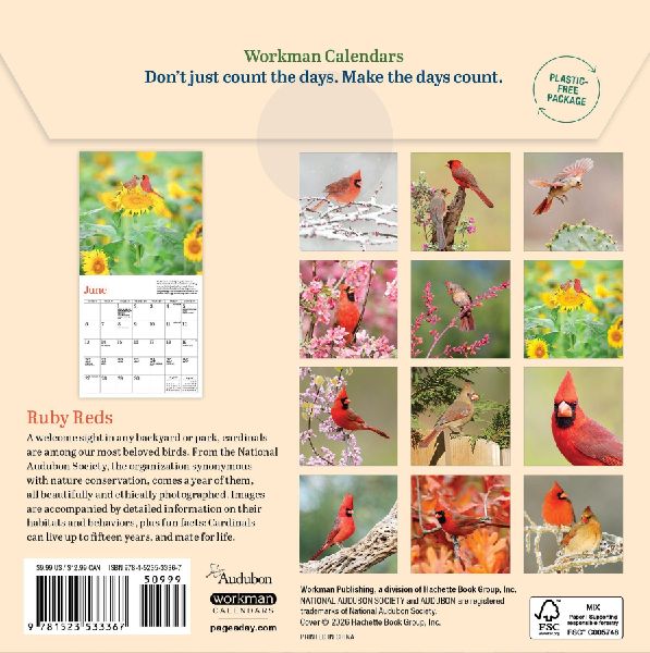 Audubon Cardinals Mini Wall Calendar 2027