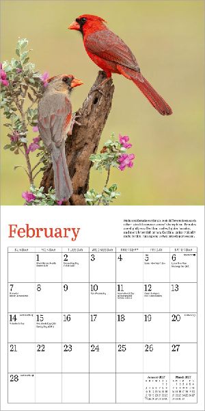 Audubon Cardinals Mini Wall Calendar 2027