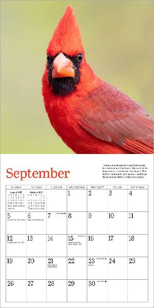 Audubon Cardinals Mini Wall Calendar 2027