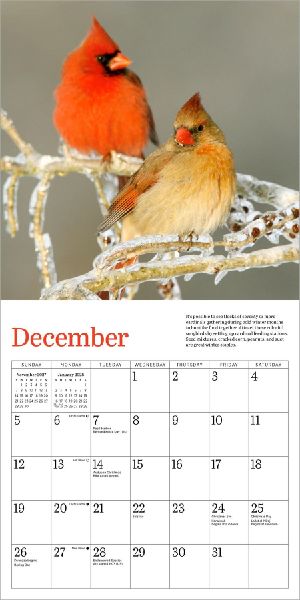 Audubon Cardinals Mini Wall Calendar 2027