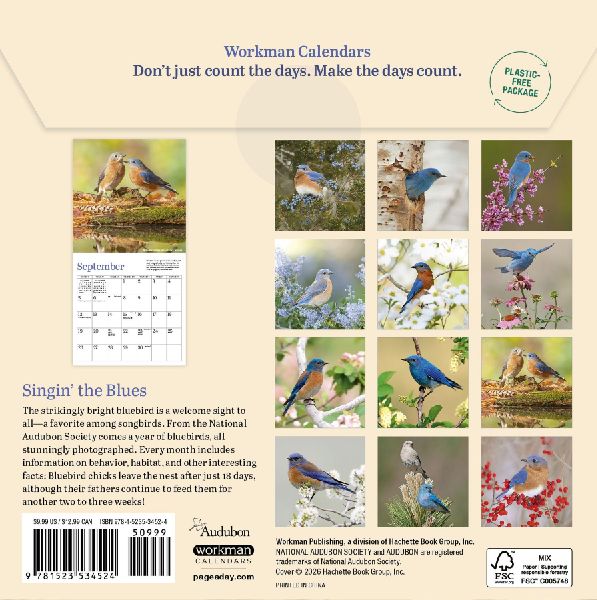 Audubon Bluebirds Mini Wall Calendar 2027