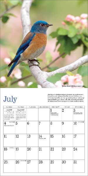 Audubon Bluebirds Mini Wall Calendar 2027