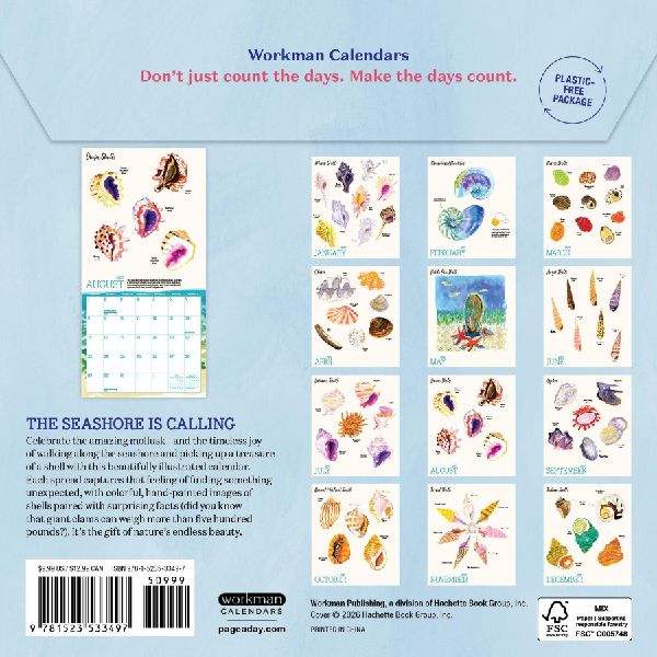 Searching for Seashells Mini Wall Calendar 2027