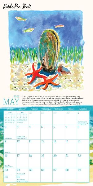 Searching for Seashells Mini Wall Calendar 2027