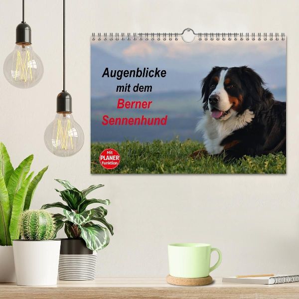 Augenblicke mit dem Berner Sennenhund (Wandkalender 2027 DIN A4 quer), CALVENDO Monatskalender