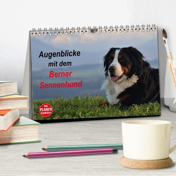 Augenblicke mit dem Berner Sennenhund (Tischkalender 2027 DIN A5 quer), CALVENDO Monatskalender
