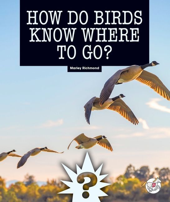 How Do Birds Know Where to Go?