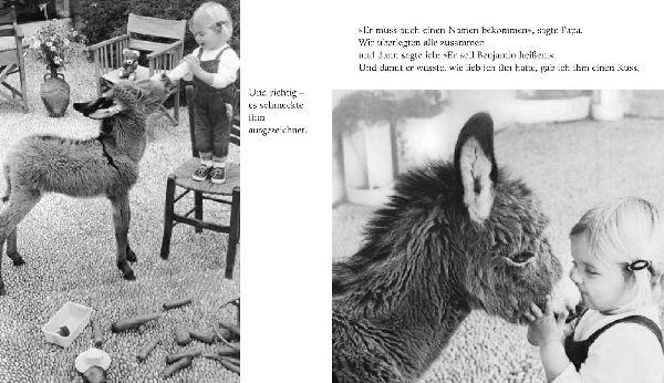 Mein Esel Benjamin (Mini-Ausgabe)