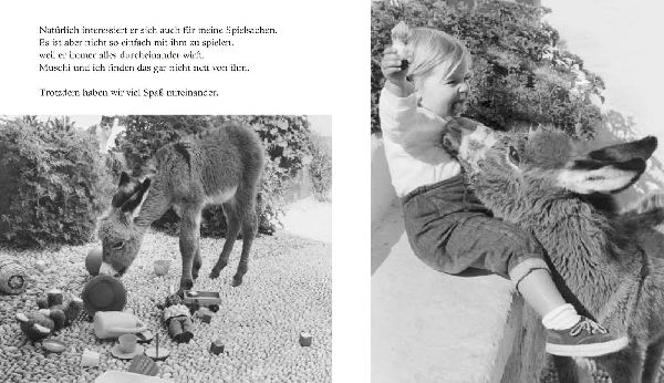 Mein Esel Benjamin (Mini-Ausgabe)