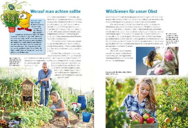 Entdecke Hummeln und andere Wildbienen