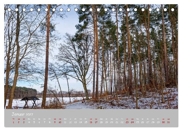 Biosphärenreservat Schorfhede-Chorin (Tischkalender 2027 DIN A5 quer), CALVENDO Monatskalender