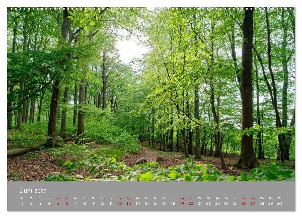 Biosphärenreservat Schorfhede-Chorin (hochwertiger Premium Wandkalender 2027 DIN A2 quer), Kunstdruck in Hochglanz