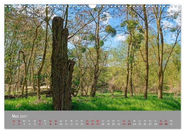 Biosphärenreservat Schorfhede-Chorin (Wandkalender 2027 DIN A3 quer), CALVENDO Monatskalender