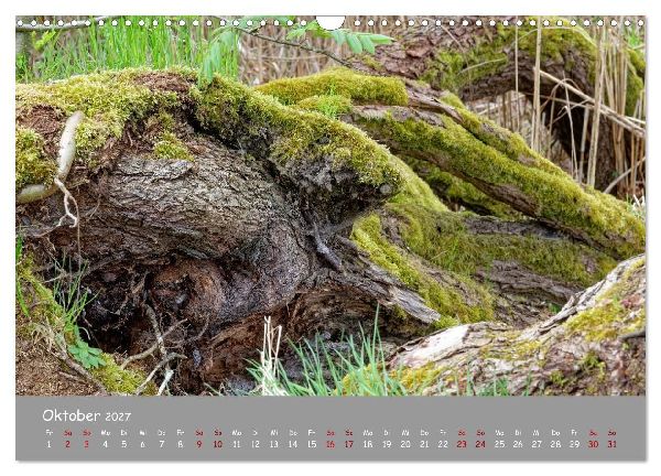 Biosphärenreservat Schorfhede-Chorin (Wandkalender 2027 DIN A3 quer), CALVENDO Monatskalender