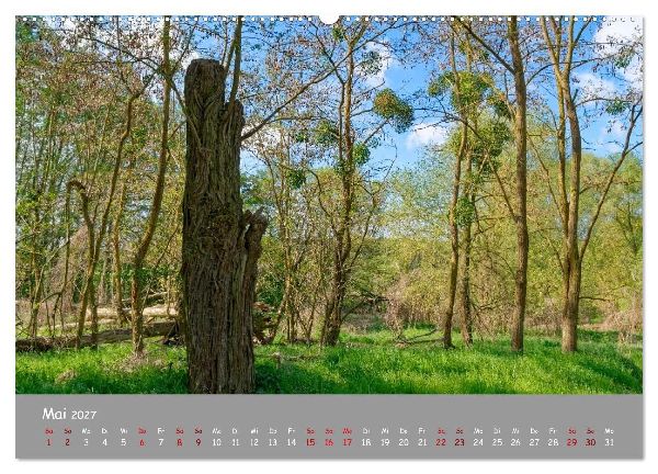 Biosphärenreservat Schorfhede-Chorin (Wandkalender 2027 DIN A2 quer), CALVENDO Monatskalender