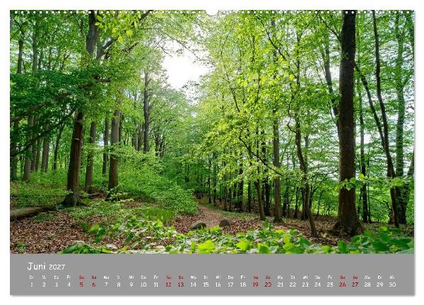 Biosphärenreservat Schorfhede-Chorin (Wandkalender 2027 DIN A2 quer), CALVENDO Monatskalender