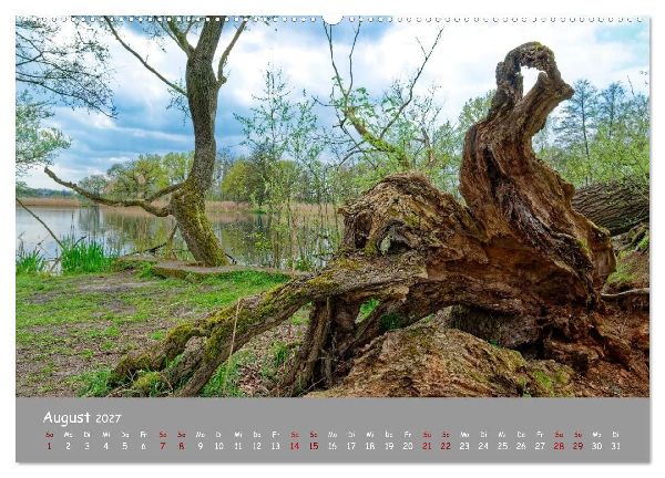 Biosphärenreservat Schorfhede-Chorin (Wandkalender 2027 DIN A2 quer), CALVENDO Monatskalender
