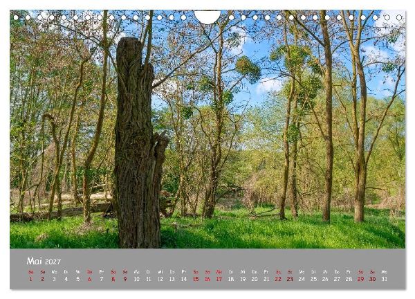 Biosphärenreservat Schorfhede-Chorin (Wandkalender 2027 DIN A4 quer), CALVENDO Monatskalender