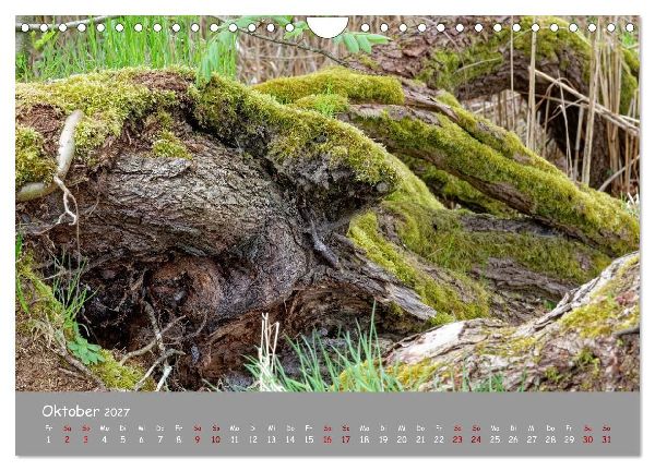 Biosphärenreservat Schorfhede-Chorin (Wandkalender 2027 DIN A4 quer), CALVENDO Monatskalender