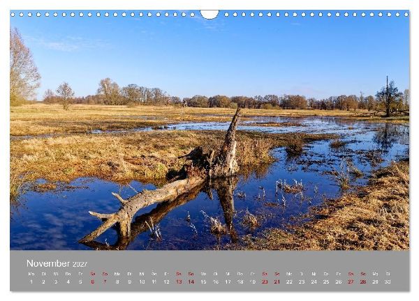 Naturerlebnis im Biosphärenreservat Drömling (Wandkalender 2027 DIN A3 quer), CALVENDO Monatskalender