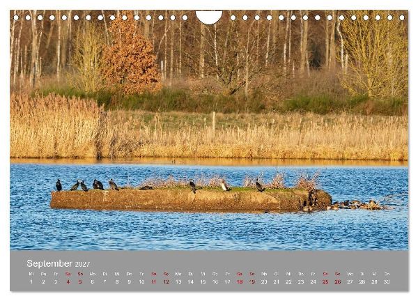 Naturerlebnis im Biosphärenreservat Drömling (Wandkalender 2027 DIN A4 quer), CALVENDO Monatskalender
