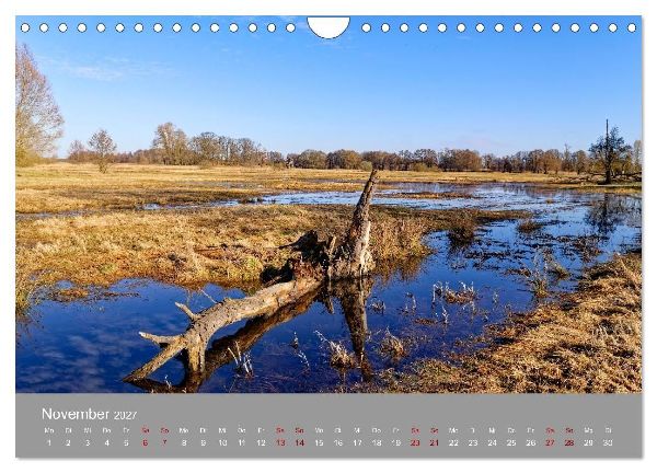 Naturerlebnis im Biosphärenreservat Drömling (Wandkalender 2027 DIN A4 quer), CALVENDO Monatskalender