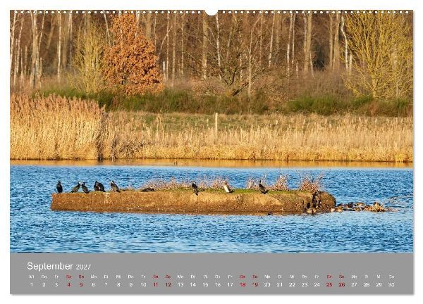 Naturerlebnis im Biosphärenreservat Drömling (hochwertiger Premium Wandkalender 2027 DIN A2 quer), Kunstdruck in Hochglanz