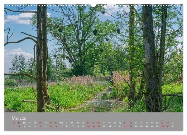 Naturerlebnis im Biosphärenreservat Drömling (hochwertiger Premium Wandkalender 2027 DIN A2 quer), Kunstdruck in Hochglanz