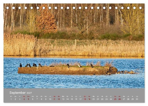 Naturerlebnis im Biosphärenreservat Drömling (Tischkalender 2027 DIN A5 quer), CALVENDO Monatskalender