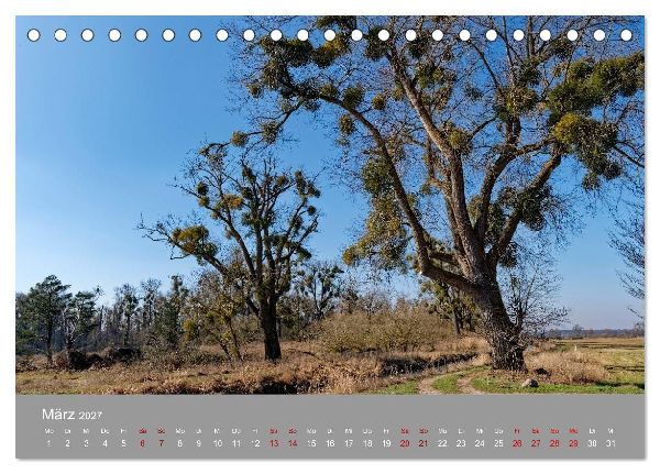 Naturerlebnis im Biosphärenreservat Drömling (Tischkalender 2027 DIN A5 quer), CALVENDO Monatskalender