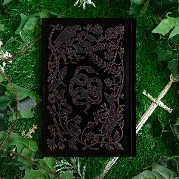 The Queen of Nothing: Collector's Edition