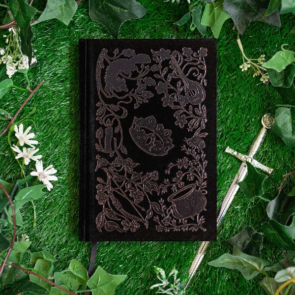 The Queen of Nothing: Collector's Edition