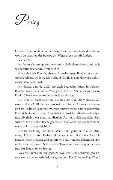 Darkness Ignites. Wenn Liebe zur gefährlichsten Form von Rebellion wird (Sunshaft Hollow 1)