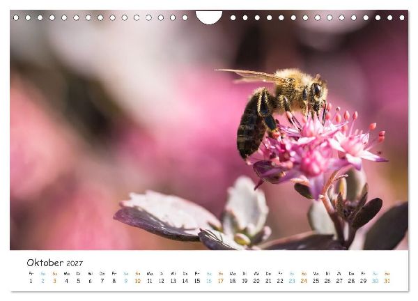 Bee Beautiful - Die phantastische Welt der Bienen (Wandkalender 2027 DIN A4 quer), CALVENDO Monatskalender
