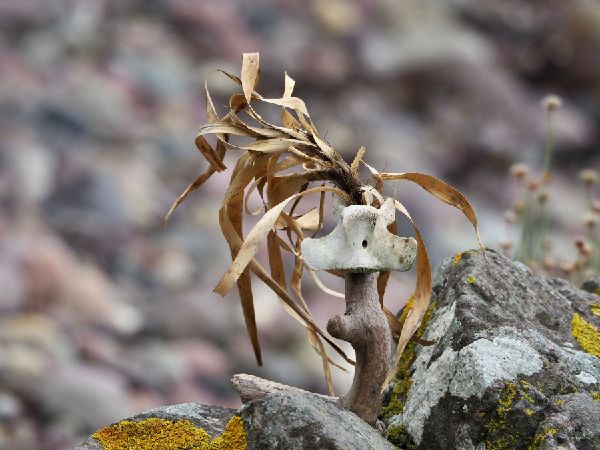 Stranding
