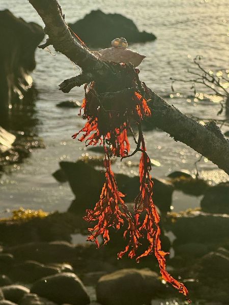 Stranding