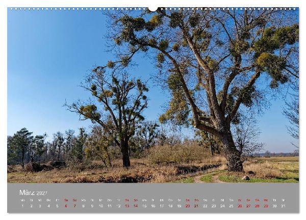 Naturerlebnis im Biosphärenreservat Drömling (Wandkalender 2027 DIN A2 quer), CALVENDO Monatskalender