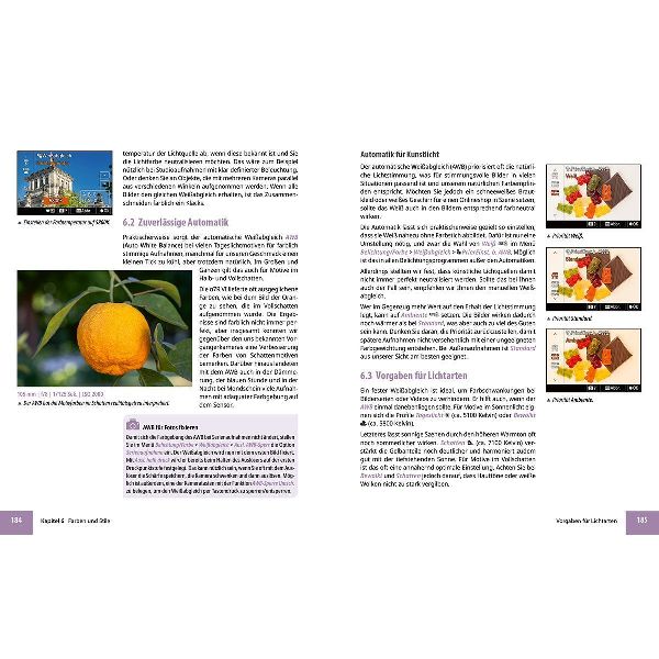 Sony alpha 7R VI - Das umfangreiche Praxisbuch zu Ihrer Profi-Kamera