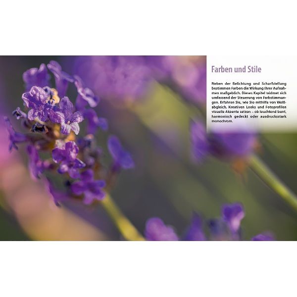 Sony alpha 7R VI - Das umfangreiche Praxisbuch zu Ihrer Profi-Kamera