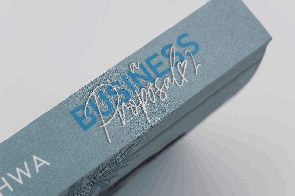 A Business Proposal 2