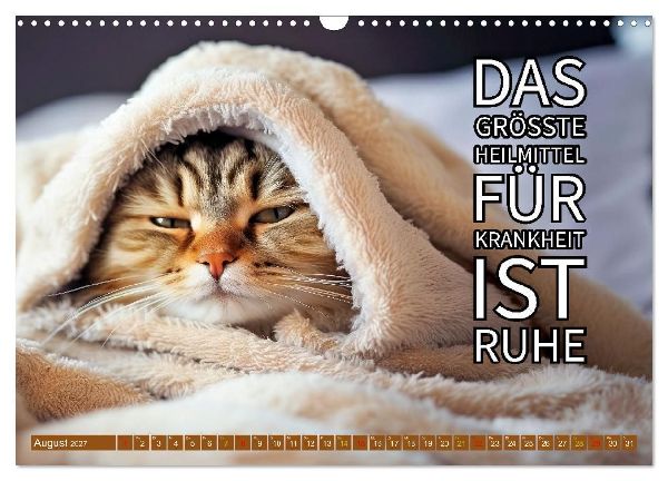 Gute Besserung - mit coolen Sprüchen (Wandkalender 2027 DIN A3 quer), CALVENDO Monatskalender