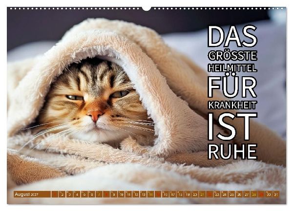 Gute Besserung - mit coolen Sprüchen (Wandkalender 2027 DIN A2 quer), CALVENDO Monatskalender